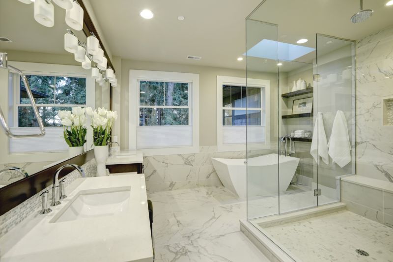Luxury Shower Renovation